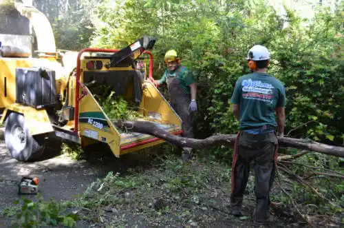 tree services South Barrington